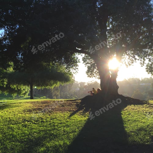 Preview: Two people sitting in natural light and shadow, outside on a grassy hillside by beautiful big tree.