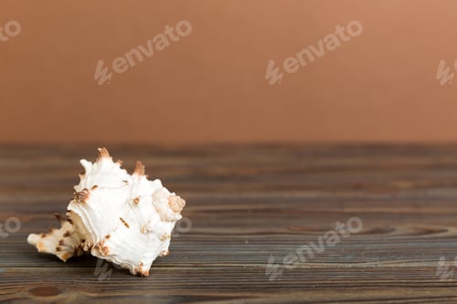 Preview: Summer time concept with sea shells or starfish on a table background with copy space for text