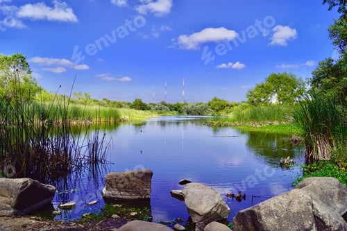 Preview: Birds on the bright and beautiful lake
