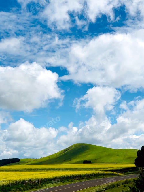 Preview: Rapeseed Vegetable oil oilseed oil-rich seed Kenyan Landscape Agriculture Farm Fields Plants