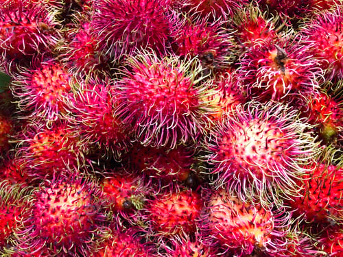 Preview: Exotic fruit