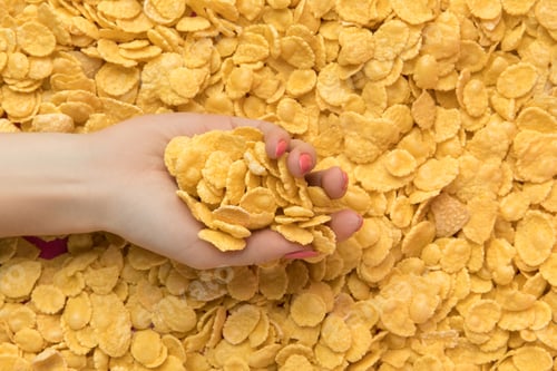 Preview: partial view of female hand holding sweet tasty corn flakes