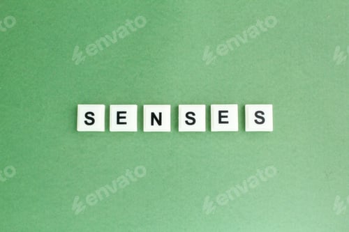 Preview: letters of the alphabet with sense words.