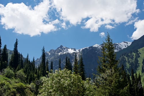 Preview: Mountain landscape in the spring