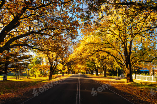 Preview: Glenlyon Main Street in Victoria Australia