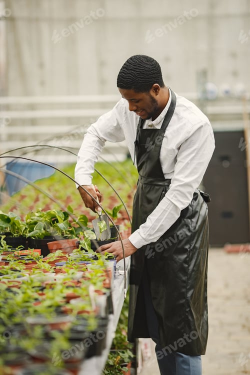 Preview: Gardener transplants plant with a gardening trowel