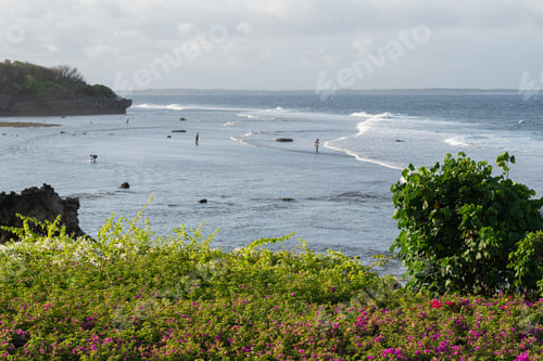 Preview: Scenic Ocean View with Purple Flowers