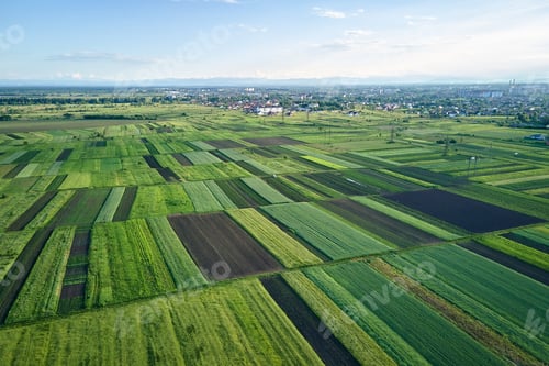 Preview: Aerial landscape of green farmland in summer season with growing crops.