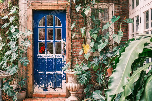 Preview: Rustic style of blue door with windows and potted plant in the garden