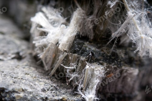 Preview: asbestos chrysotile fibers