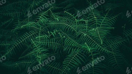 Preview: Close up group of background tropical green leaves texture and abstract background.