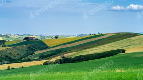 Preview: Rural landscape near Ostra Vetere and Cingoli, Marche, Italy