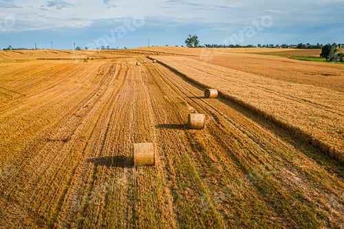 Preview: Round baler on yellow fields in summer, Poland