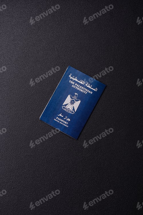 Preview: International passport of a citizen Palestine