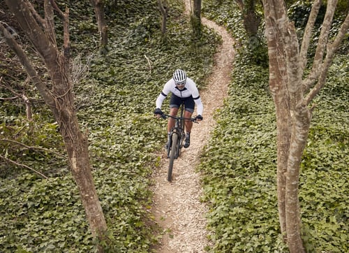 Preview: Forest path, mountain bike and sports person travel, ride and adventure on nature trail, cycling ch