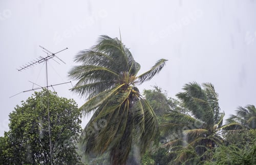 Preview: Gust wind storm raining with coconut and antenna pole