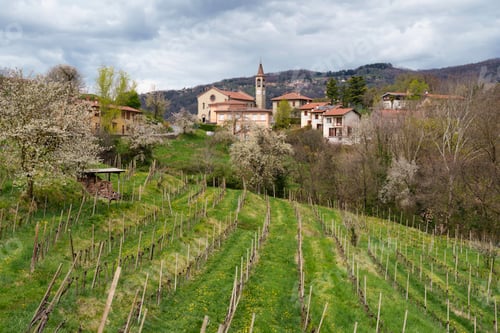 Preview: Rural landscape in Brianza in the park of Curone and Montevecchia