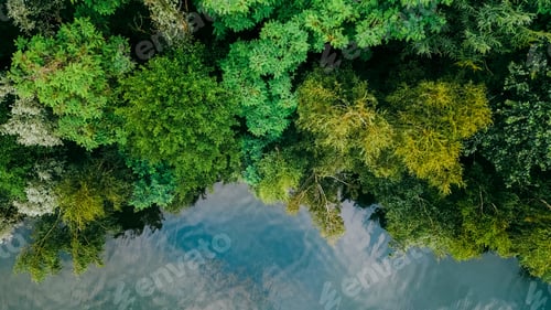 Preview: Aerial drone top down view of lake among forest, Nordrhein westfalen, Germany in summer day.