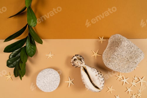 Preview: Nice warm design for your advertisement with starfish and green leaves. View from above.