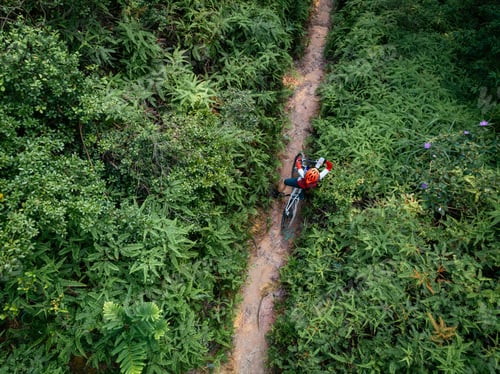Preview: Cross country biking in summer forest drinking water