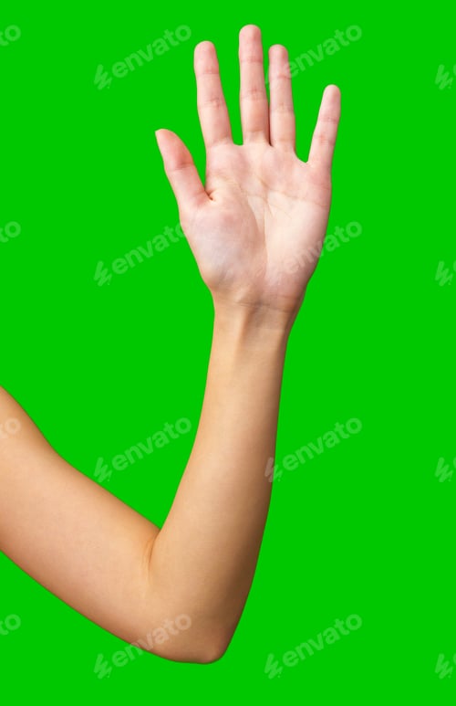 Preview: Hand raised against a bright green background signaling attention during the day