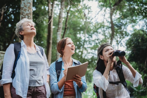 Preview: group of people family enjoy camping outdoor activity with nature, camp site living in happy time