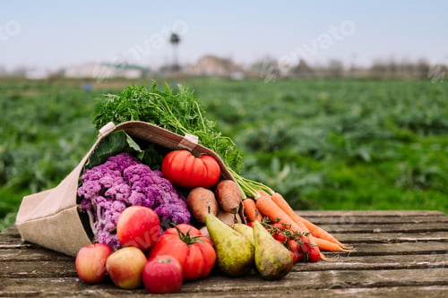 Preview: burlap bag with vegetables and fruits in a field