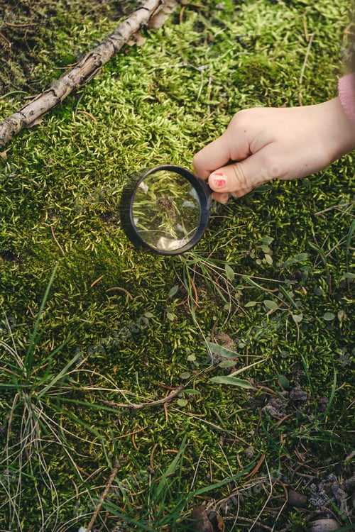 Preview: Exploring nature with magnifying glass