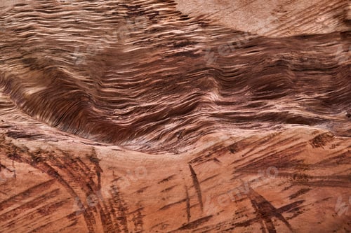 Preview: Wood for natural background. Cut in trunk of Teak wood tree. Abstract image. Place for text.