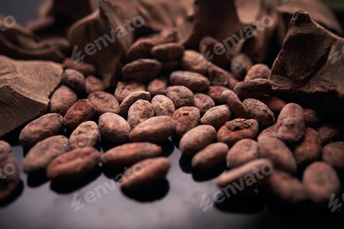 Preview: Cocoa beans and chocolate on dark background, close up