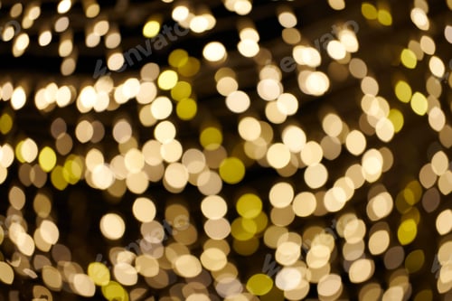 Preview: Glittering stars of bokeh