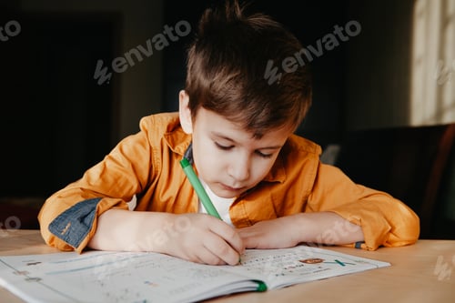 Preview: Focused Boy Writing in a Notebook at Home