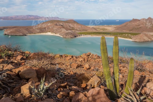 Preview: Baja