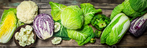 Preview: Lot of fresh juicy cabbage.