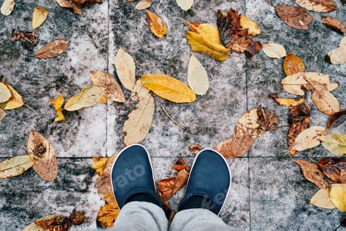 Preview: Feet in shoes standing on yellow autumn leaves lying on a gray wet tile