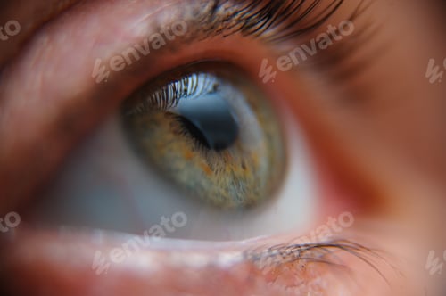 Preview: Closeup of a person's beautiful green eye
