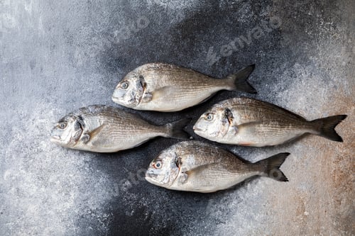 Preview: Fresh uncooked Dorado or sea bream fish
