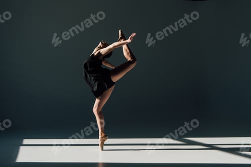 Preview: beautiful young ballerina dancing in sunlight