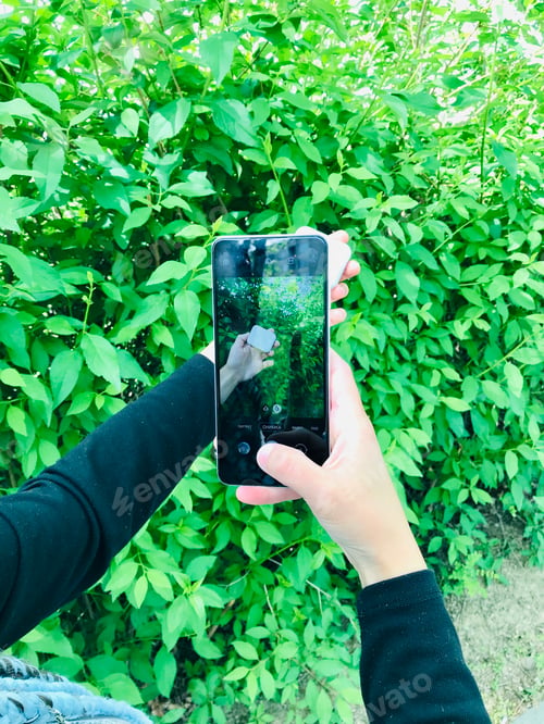 Preview: using white Smartphone. || Outdoors || Natural light || Outside || Hand