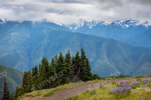 Preview: Mountains in Washington