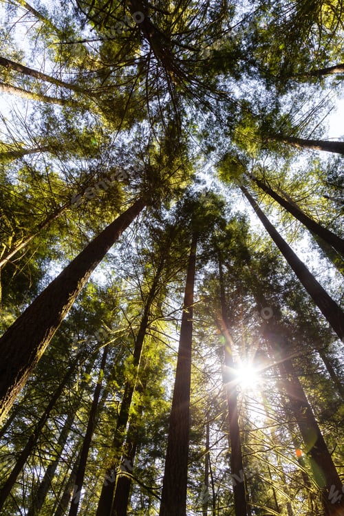 Preview: Squamish, near Vancouver, British Columbia, Canada