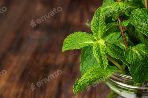 Preview: Bunch of fresh green mint leaves close up