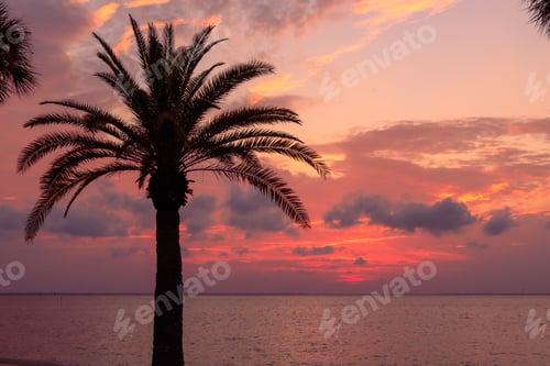 Preview: Tampa Bay during a scenic sunset in Florida, the USA