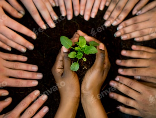 Preview: Cropped shot of a group of people surrounding a person holding a plant growing in soil