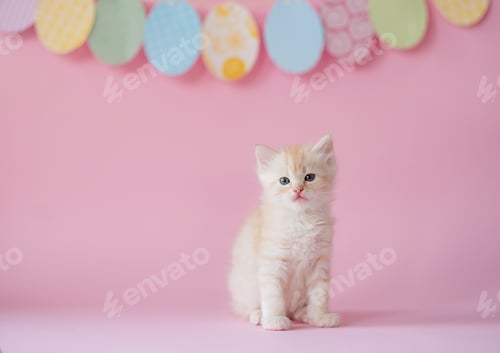 Preview: Adorable Kitten with Easter Egg Garland on Pink