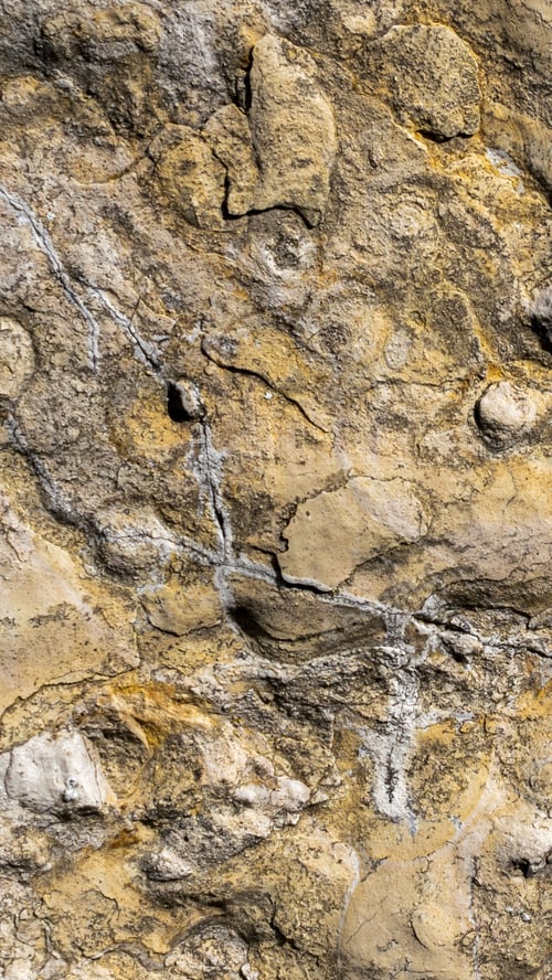 Preview: limestone texture usable as texture or background.