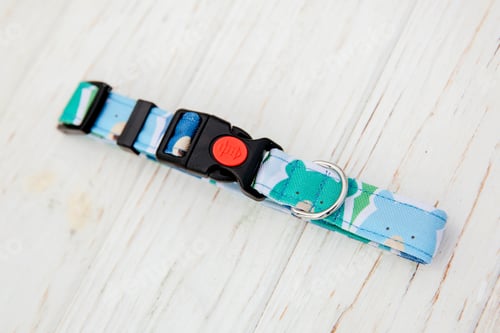 Preview: Dog Collar and Leash set. Pet Supplies and Walking Gear Collection