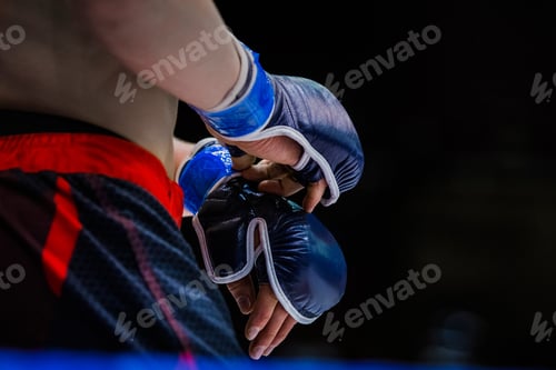 Preview: closeup gloves boxer