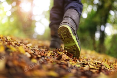 Preview: Walking in autumn and winter