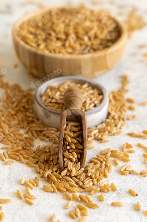 Preview: Scoop and bowls of raw dry rye grain on white table close up. Healthy alternative low gluten diet